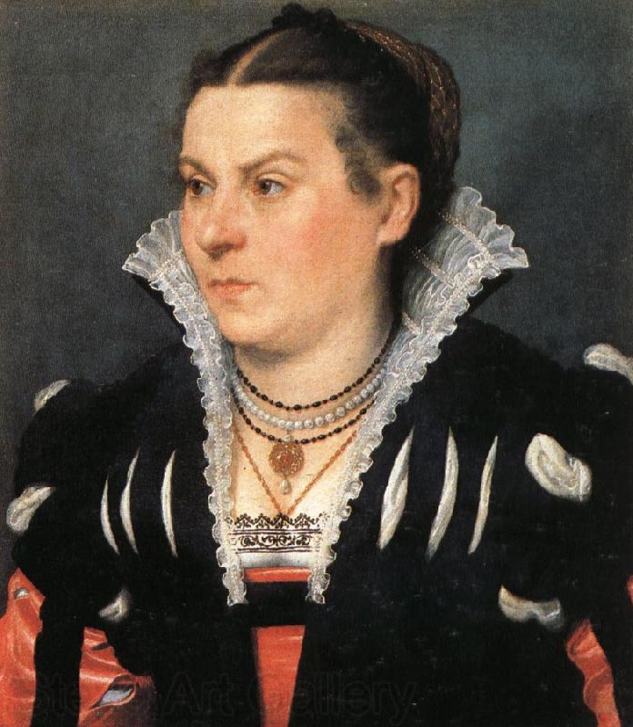 MORONI, Giovanni Battista Portrait of a Noblewoman Germany oil painting art